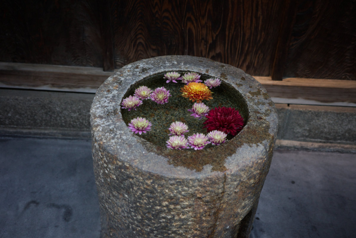 Kōreishya photograph 8
