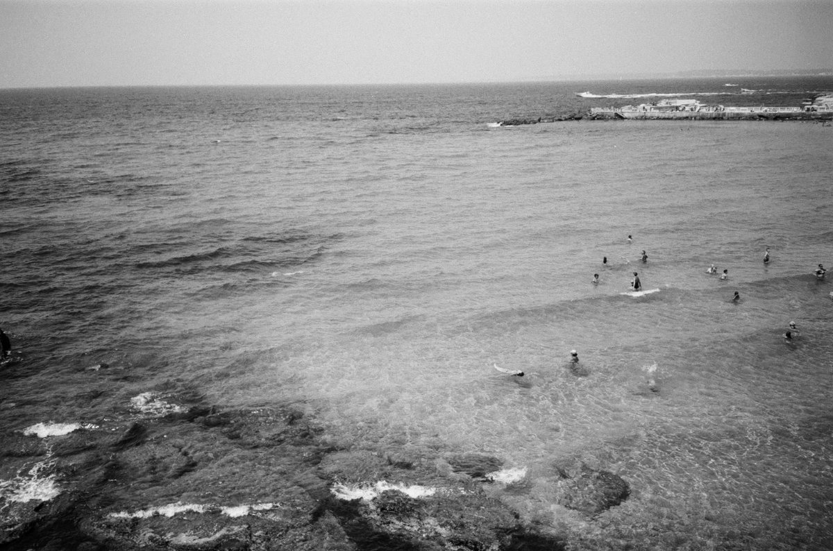 Sea \ trees photograph 4