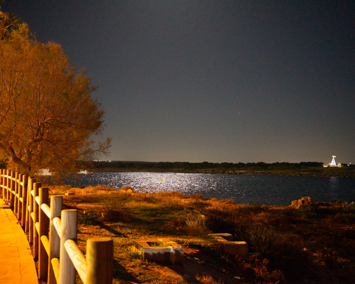 Ichthys photograph 2