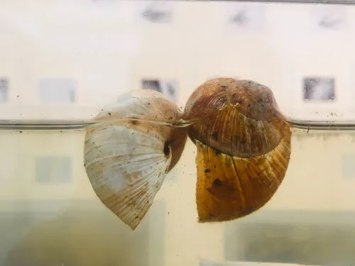 "Iso drift" - Group exhibition by Good light Prague