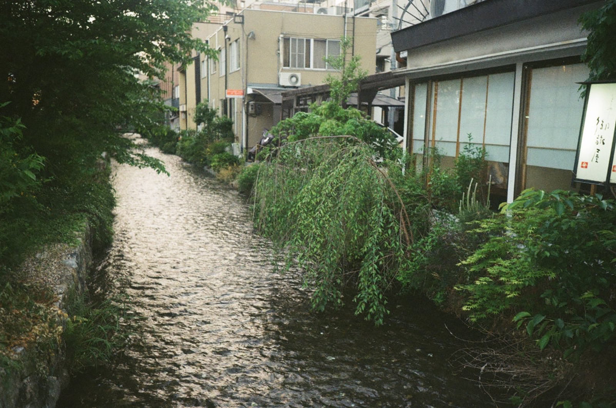 Onegaishimasu photograph 2