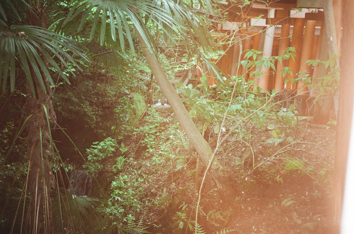Onegaishimasu photograph 3