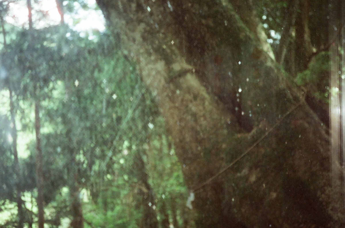 Onegaishimasu photograph 7