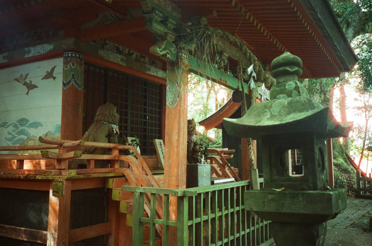 Onegaishimasu photograph 8