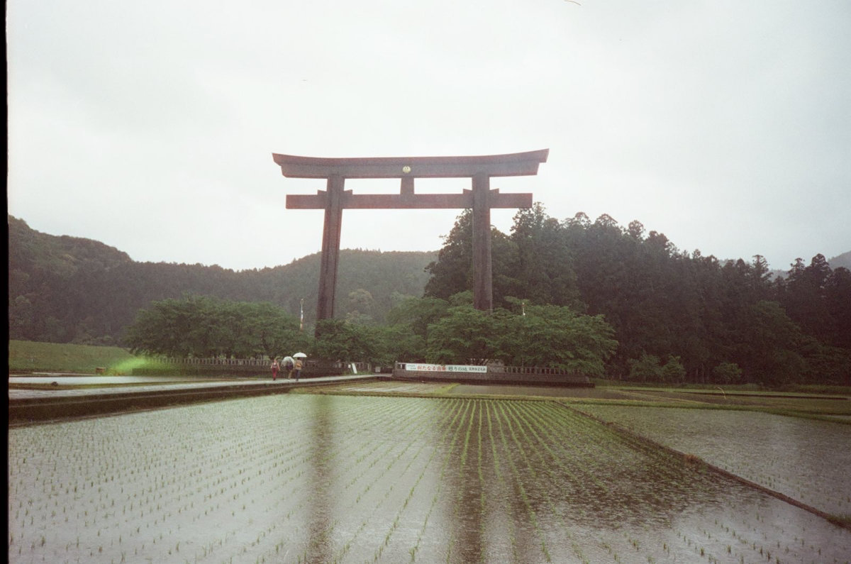 Onegaishimasu photograph 9