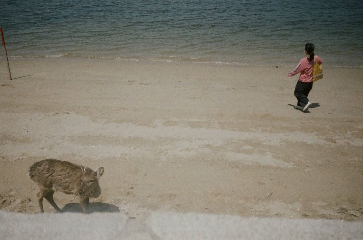 Onegaishimasu photograph 11