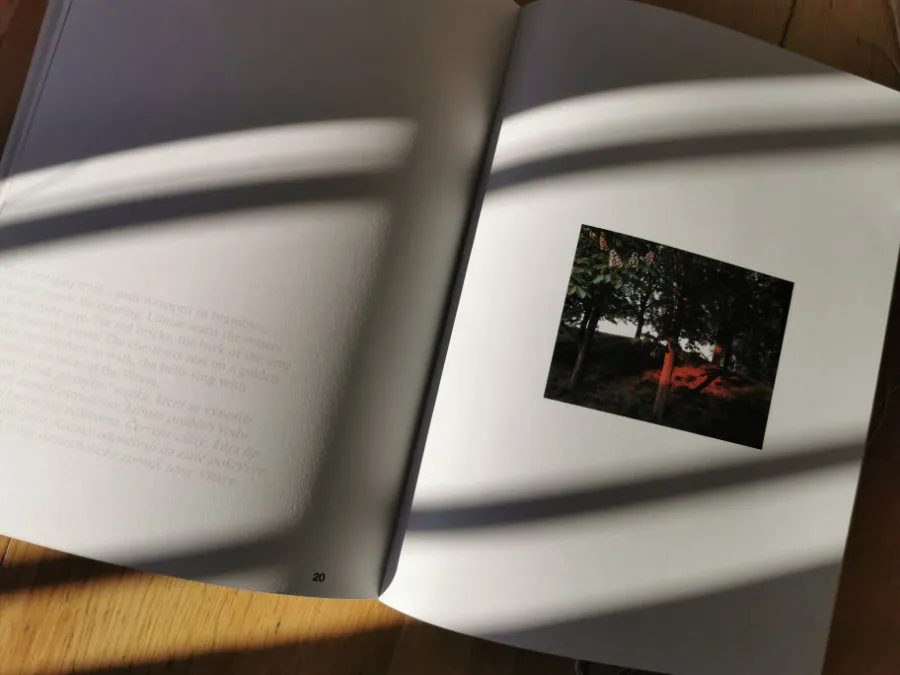 Seeing Vyšehrad photozine