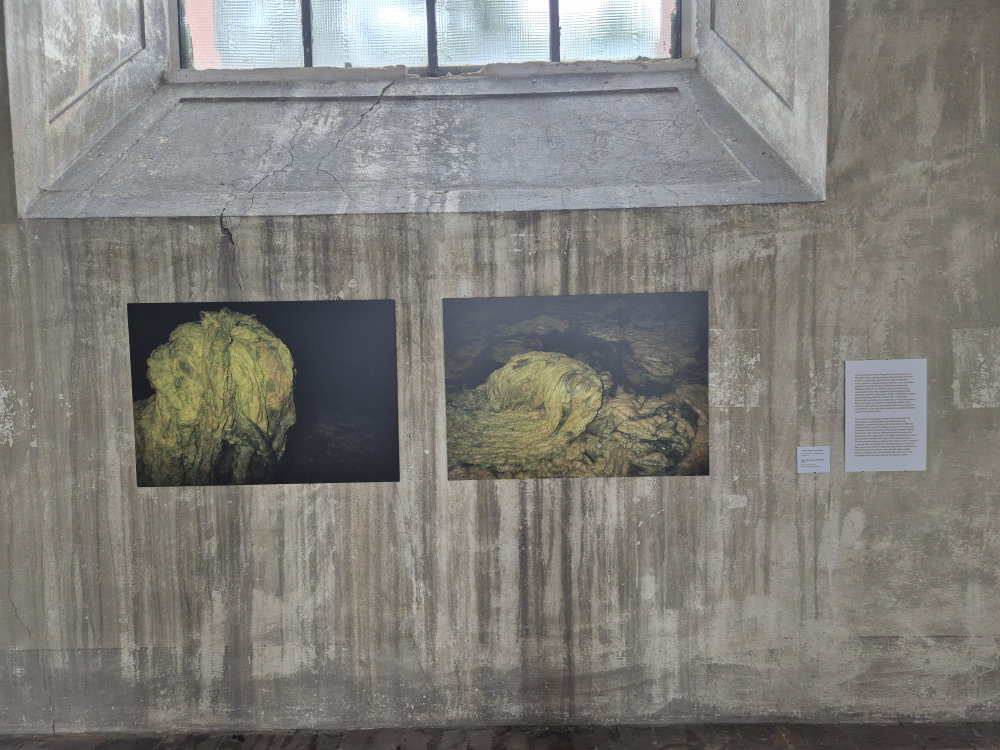 Miloš Šejn exhibition