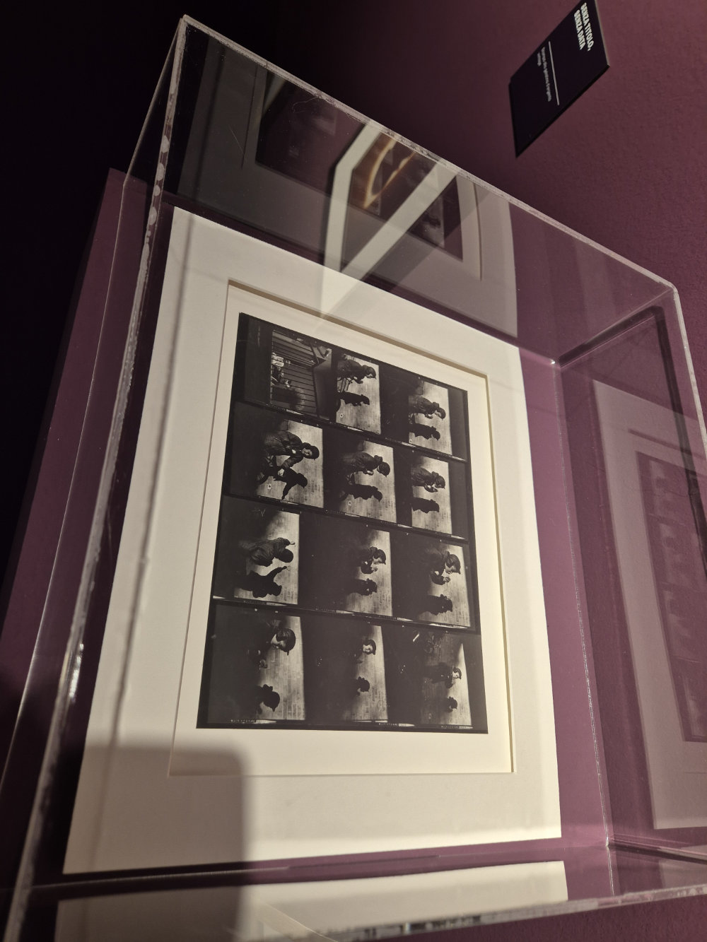 Vivian Maier exhibition