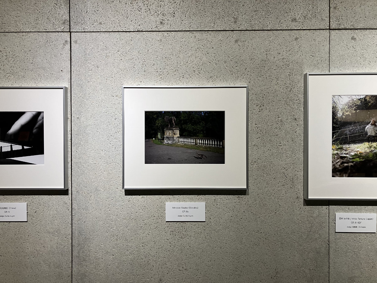 Miroslav Slapka’s photo in the GR SPACE