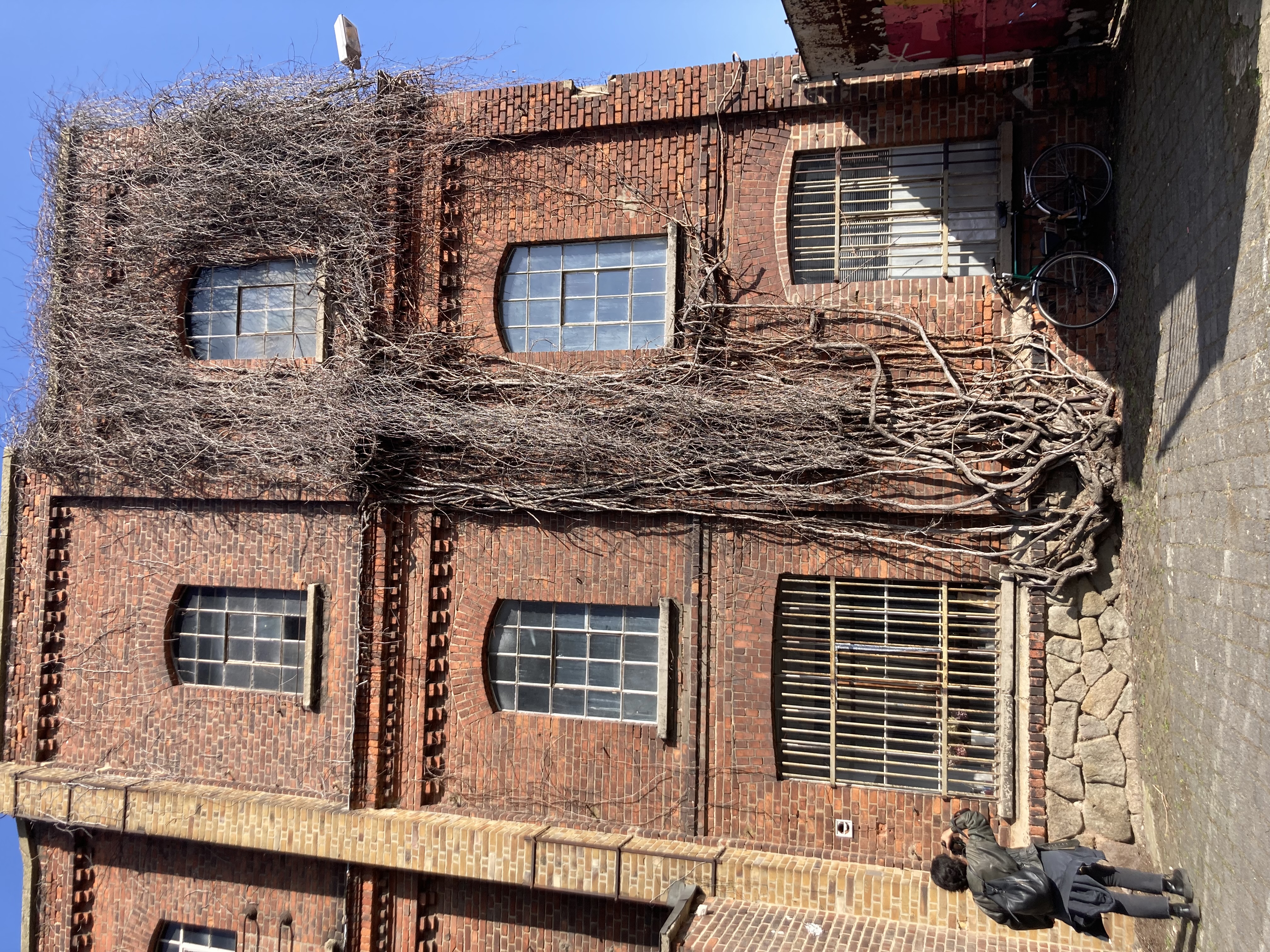 Photobook browsing at Halle 14