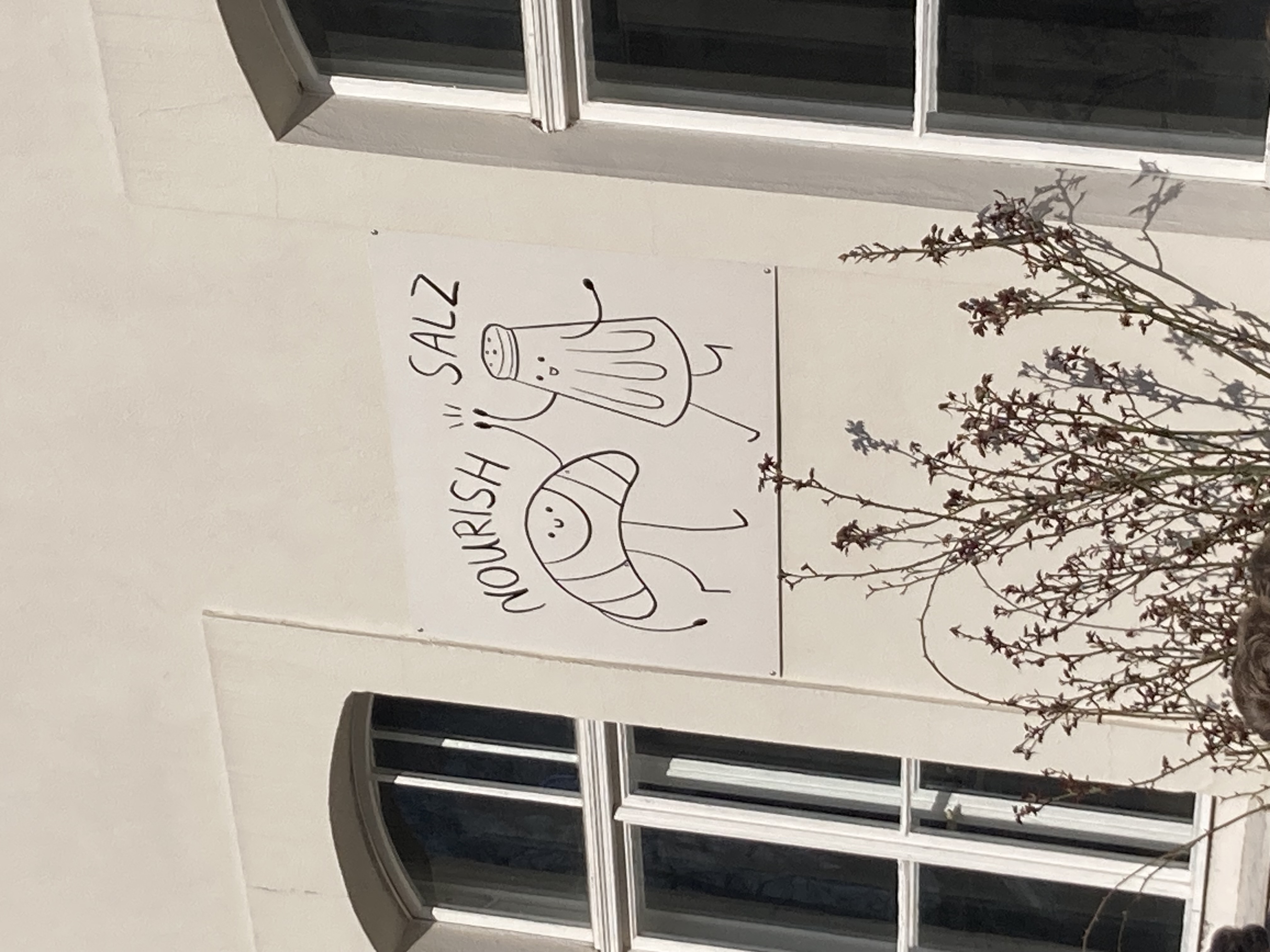 Afternoon light at the festival