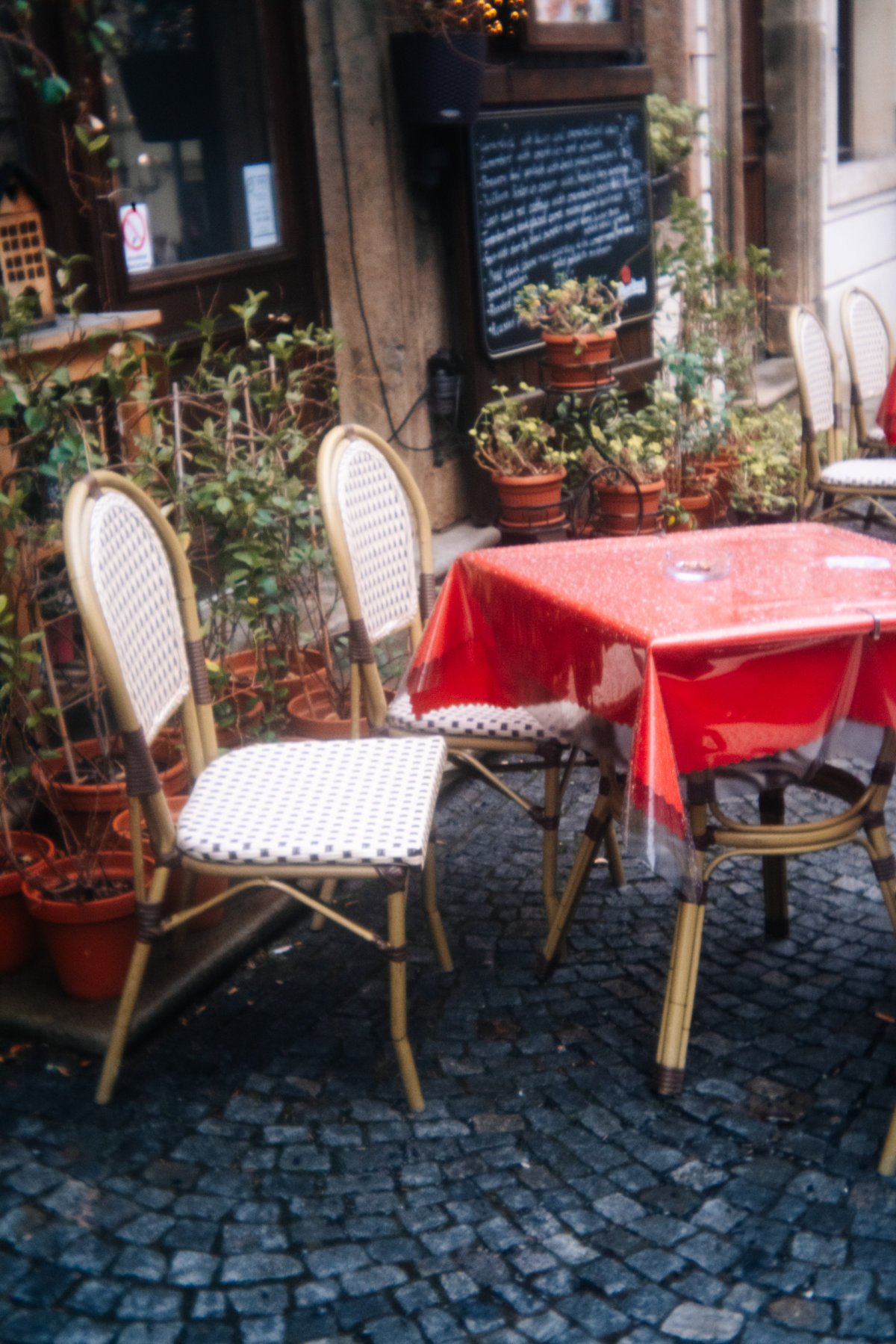 Barbora Stránská photo