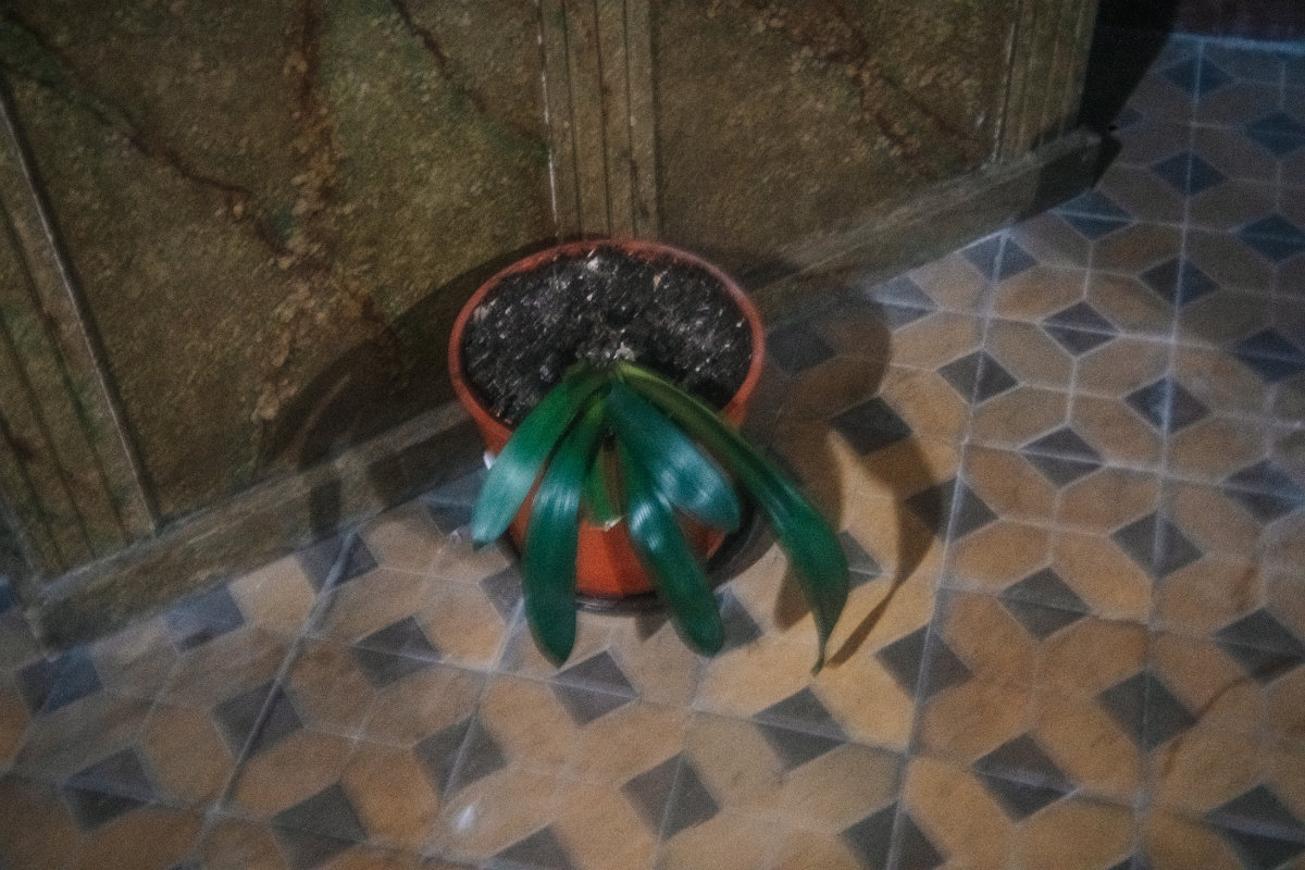 Photos from photowalk by Barbora Stránská