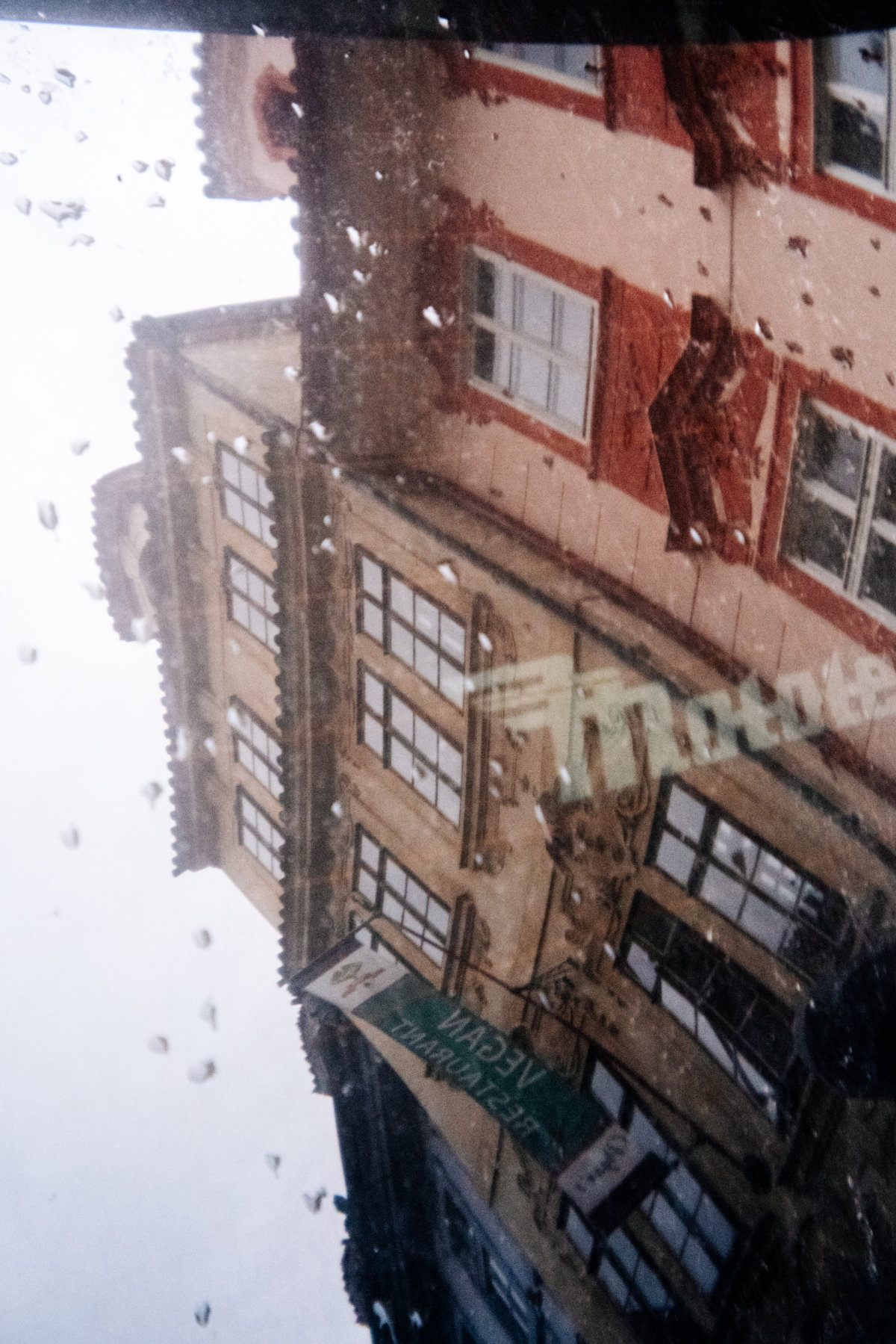 Photos from photowalk by Barbora Stránská