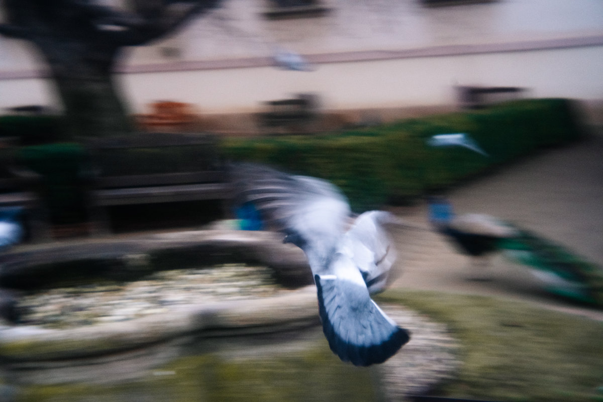 Photos from photowalk by Barbora Stránská