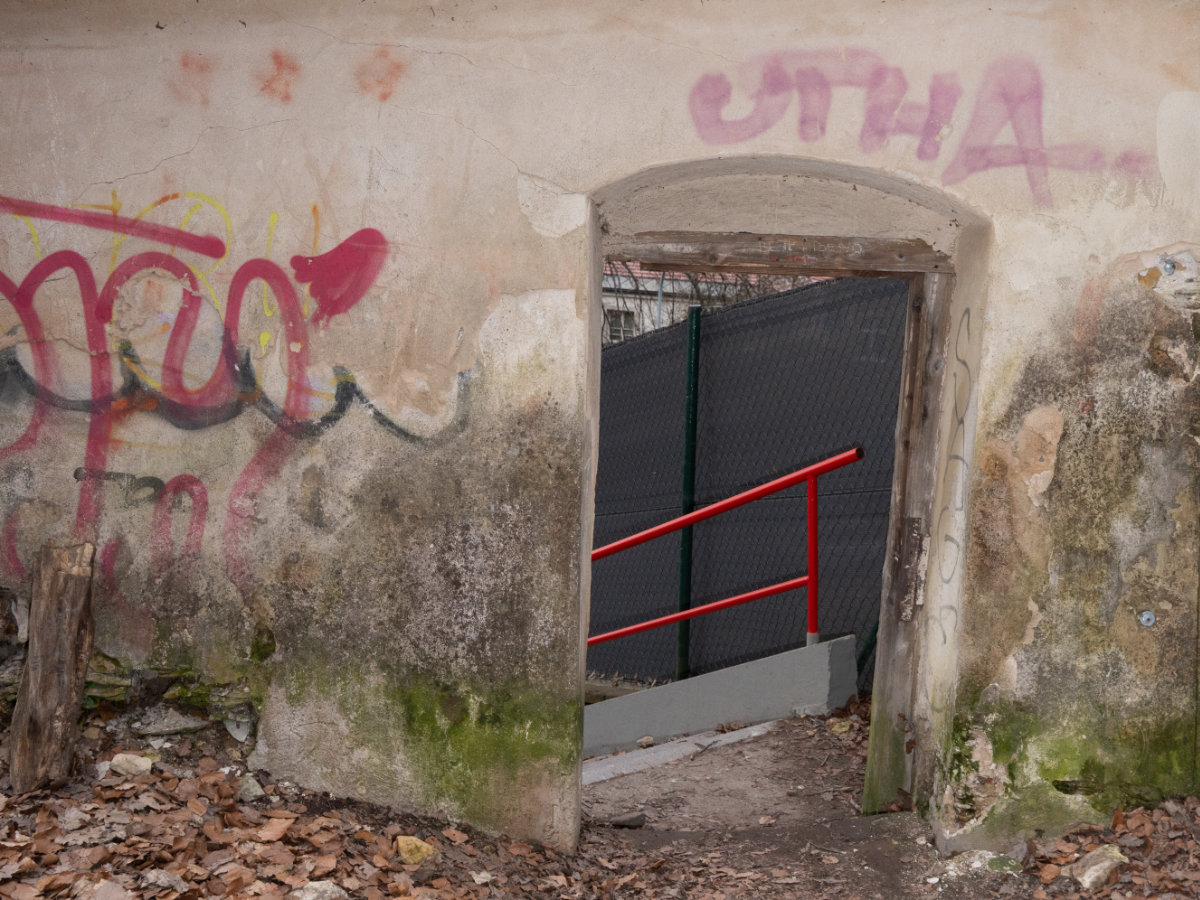 Jonáš Kohout photo