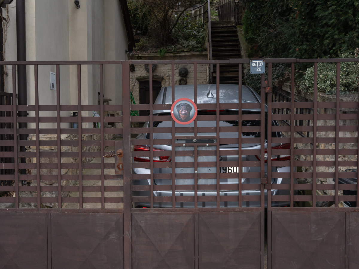 Jonáš Kohout photo