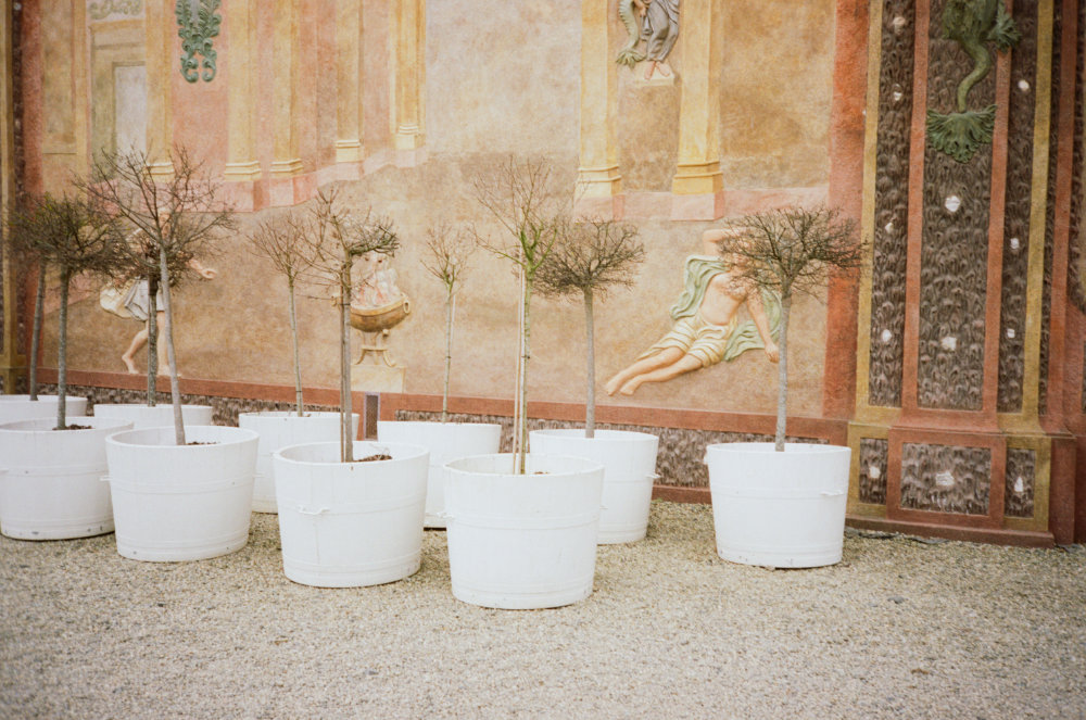 Samuel Galanský photo