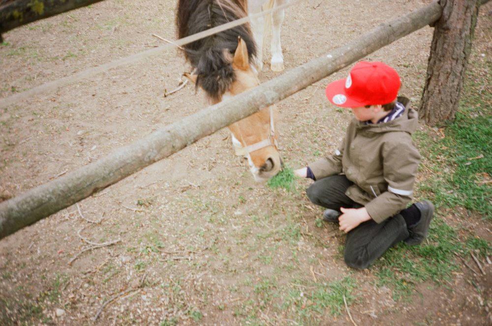 Samuel Galanský photo