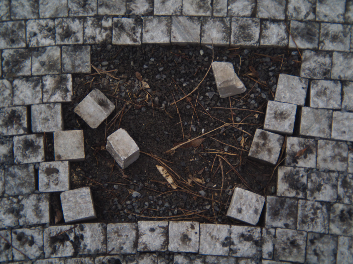 February photowalk - Insan Habib