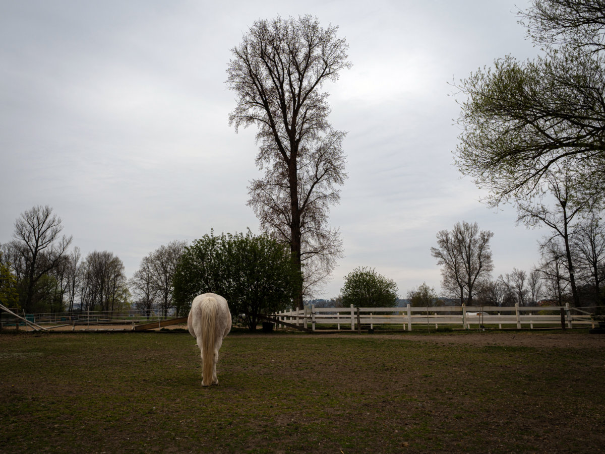 April photowalk - Jonáš Kohout