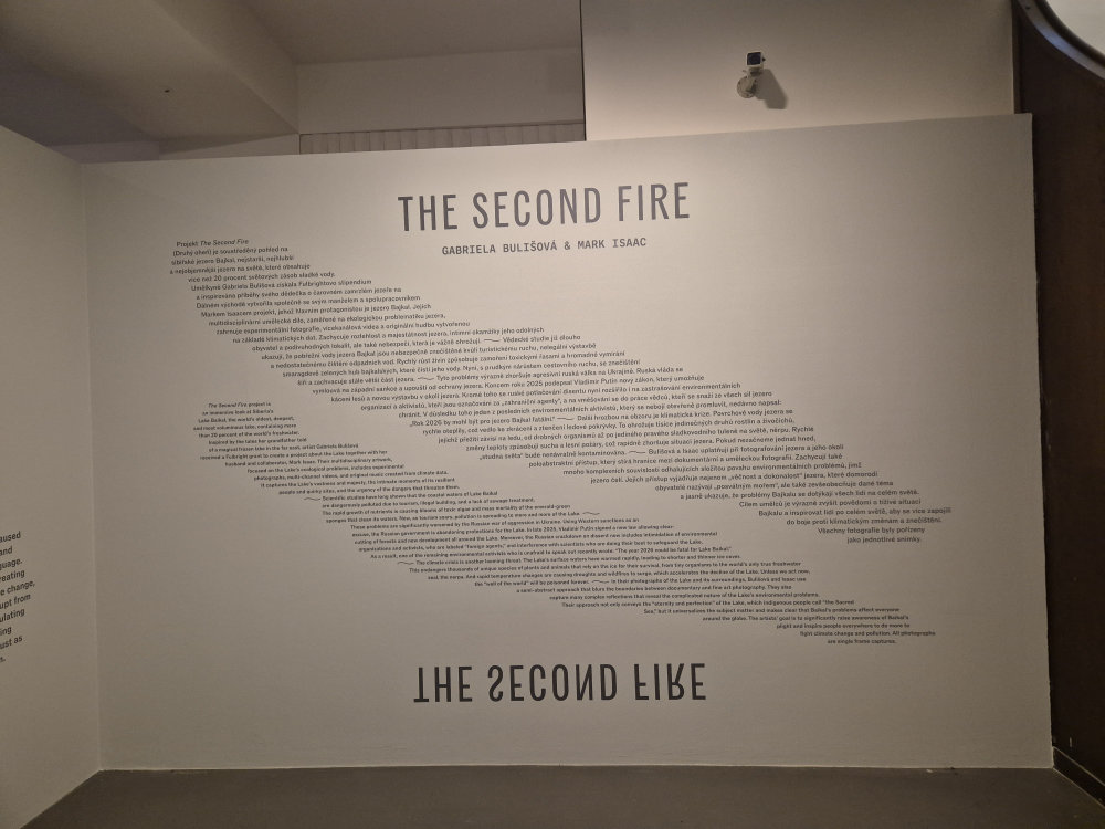 June exhibition