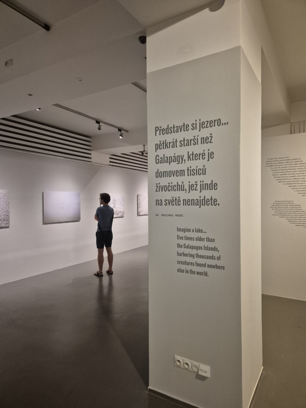 June exhibition