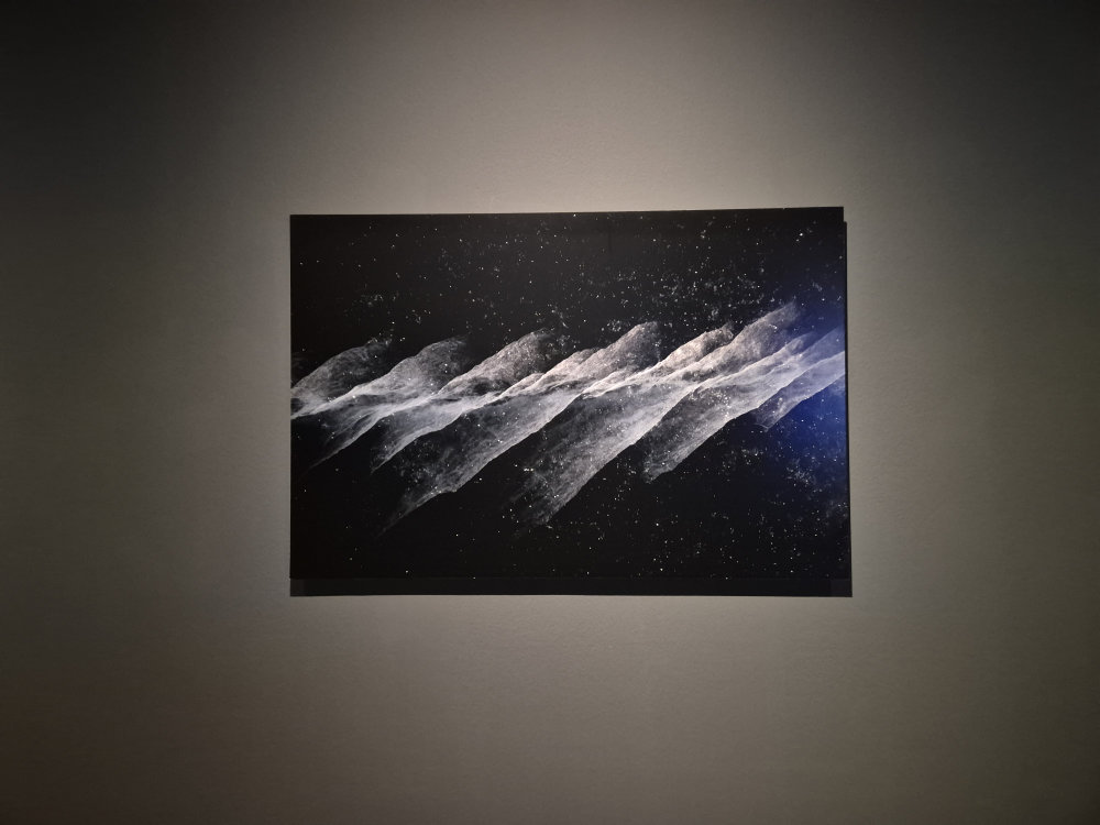 June exhibition
