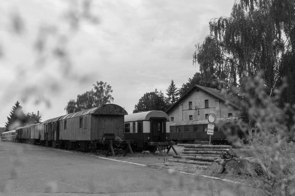 August photowalk