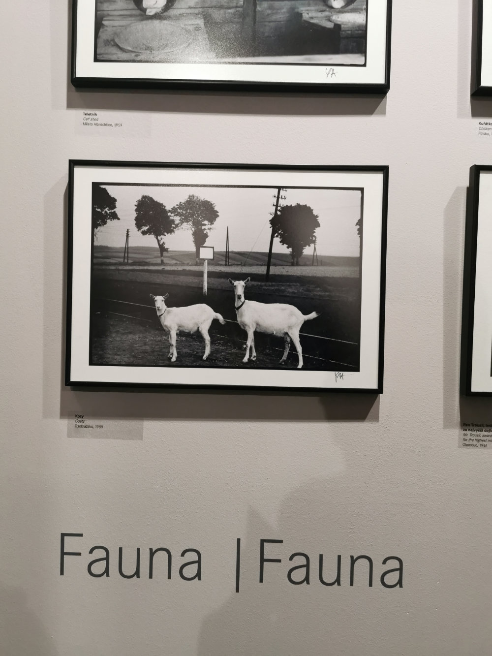 Gustav Aulehla - Well hidden photographs Gustav Aulehla - Well hidden photographs